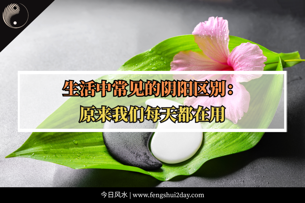 生活中常见的阴阳区别